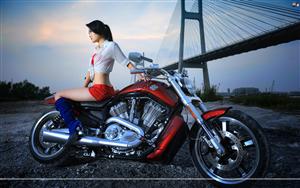 Harley Davidson